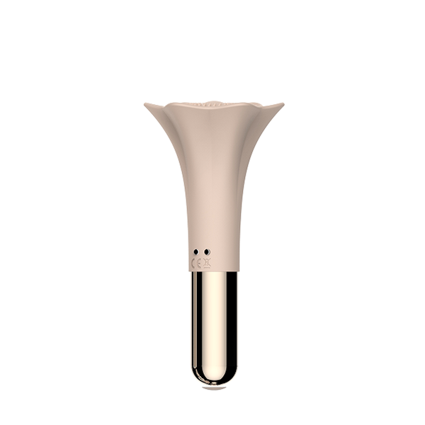 Vibrator XTD-58